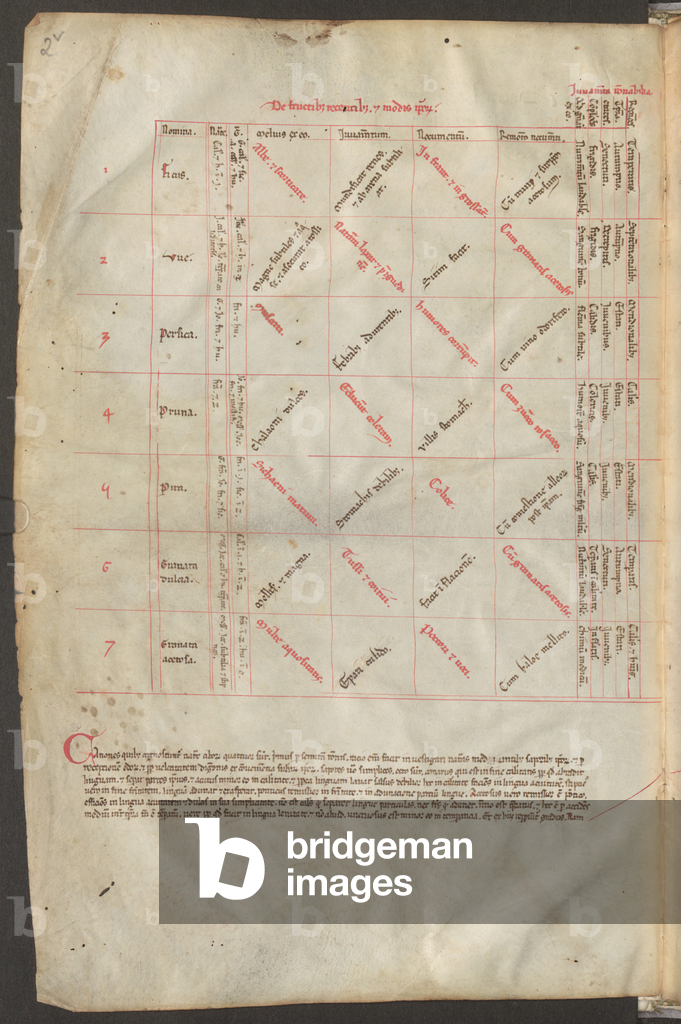Image of Manuscript depicting Full page: text and schema by Erich Lessing