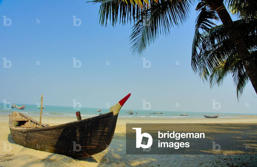 Alberi di cocco a Saint Martins Island a Teknaf a Coxs Bazar. È l'unica isola corallina del Bangladesh e una d
