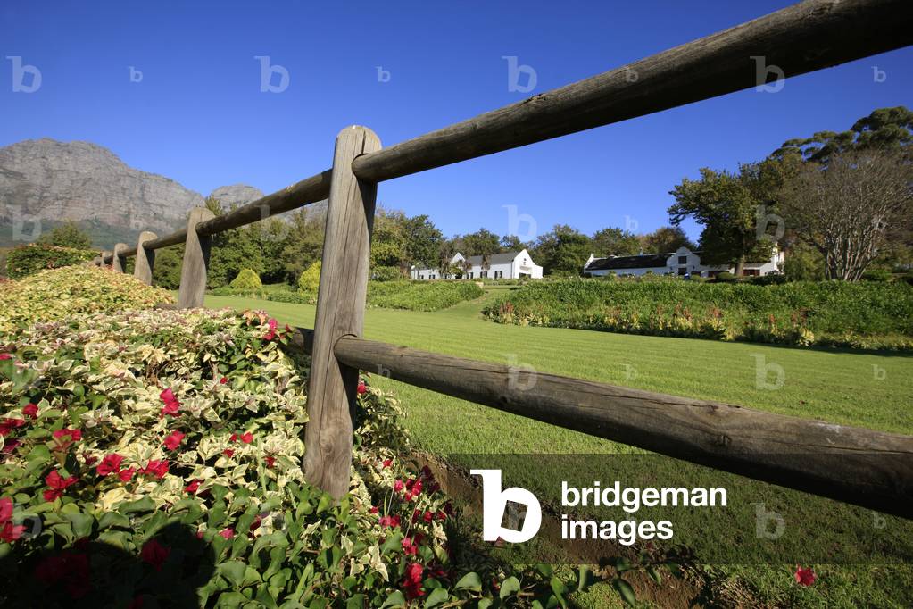 Bild von Fotografie "Weingut Plaisir de Merle"