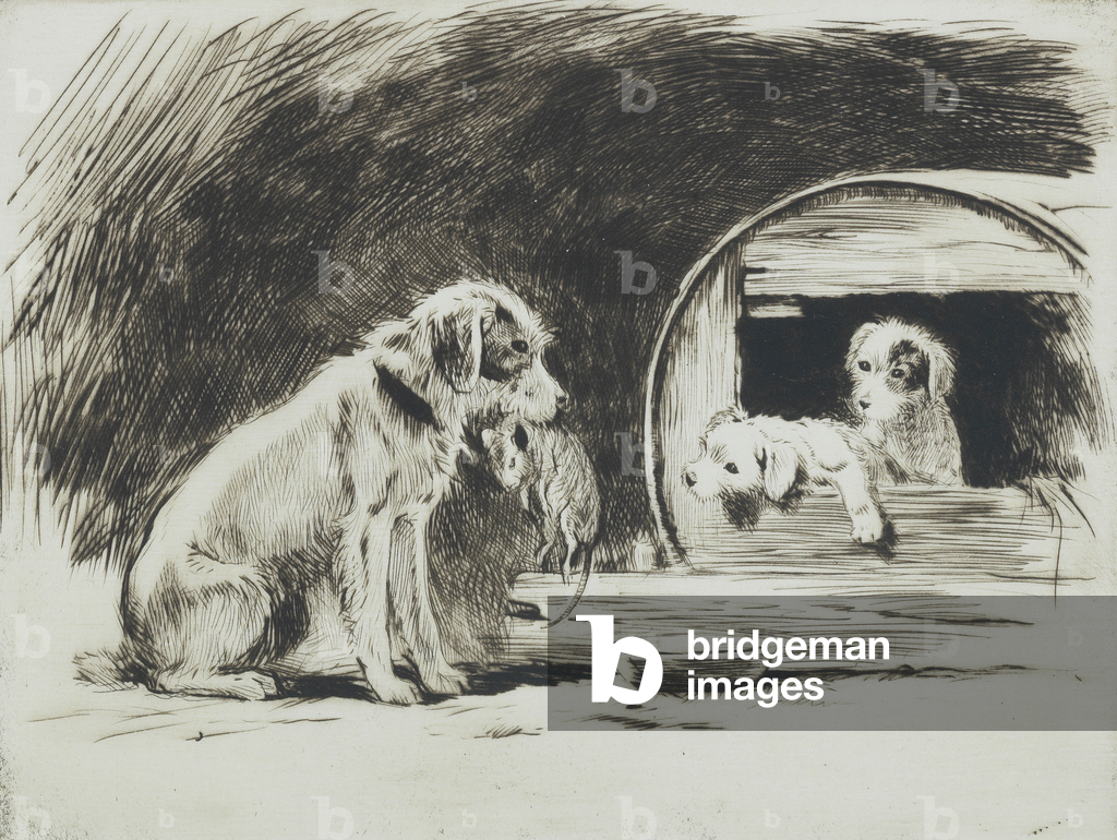 Bild von Gravur "Terrier mit Fang für Welpen (Radierung)" von George Soper