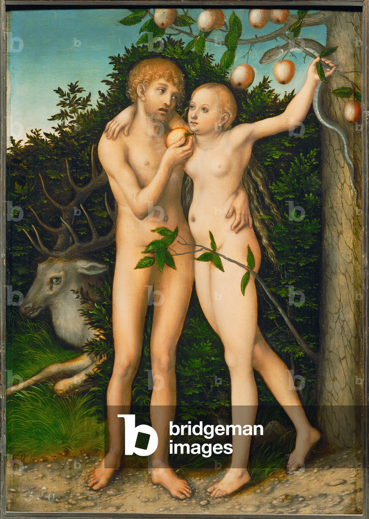 Bild von Gemälde "Der Suendenfall - The Fall ..." von Lucas the Elder Cranach