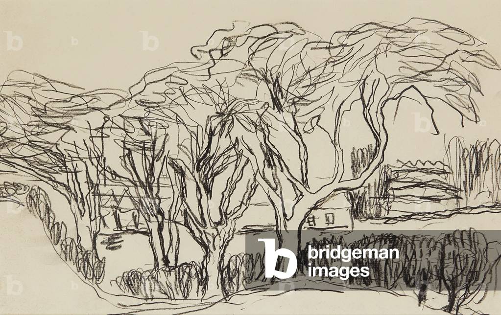 House Through The Trees (conté) by William the Younger MacTaggart