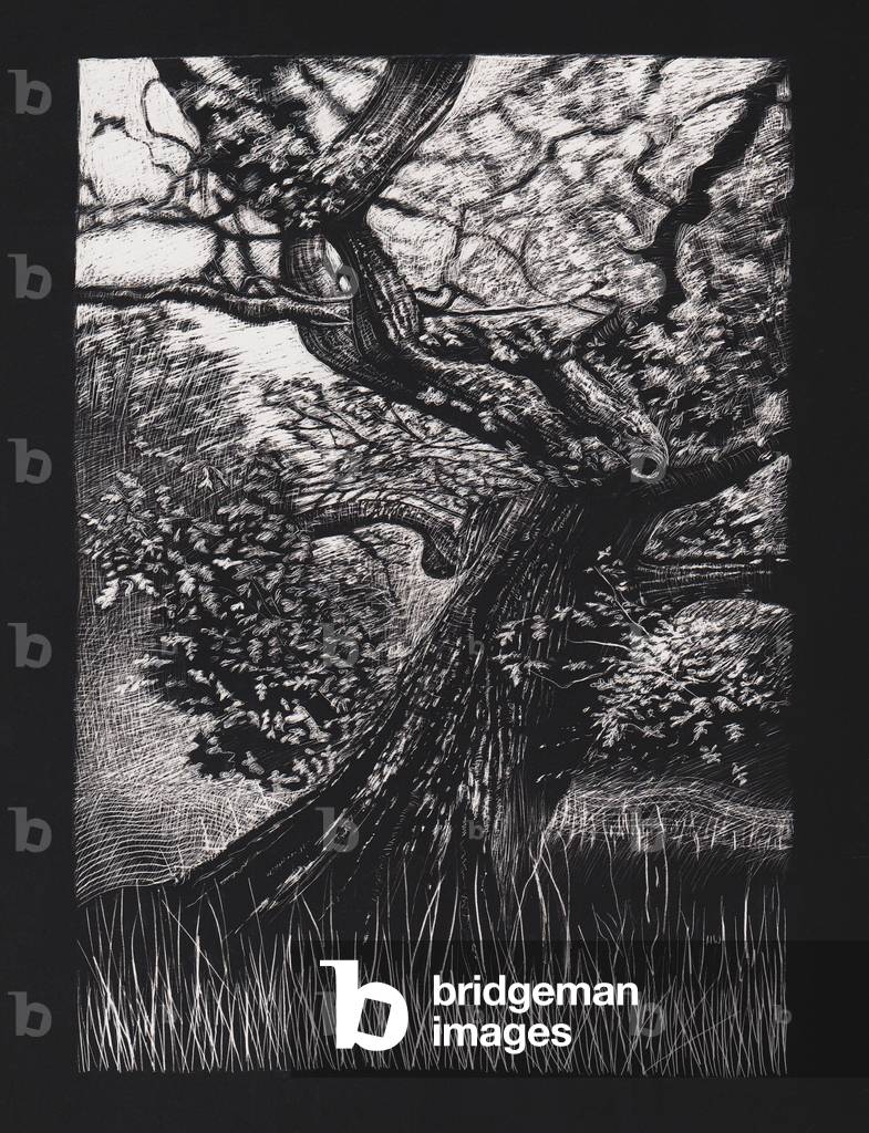 Venerable Oak, 2023, (incisione)