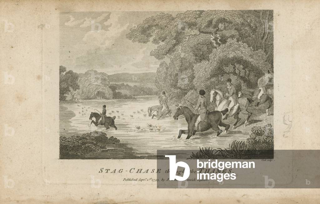 Stag chase though the Thames (engraving) by English Artist, b/w
