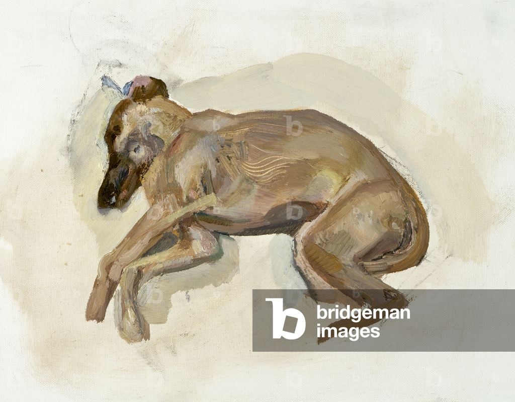 Bild von Gemälde "Pluto", 1988 von Lucian Freud