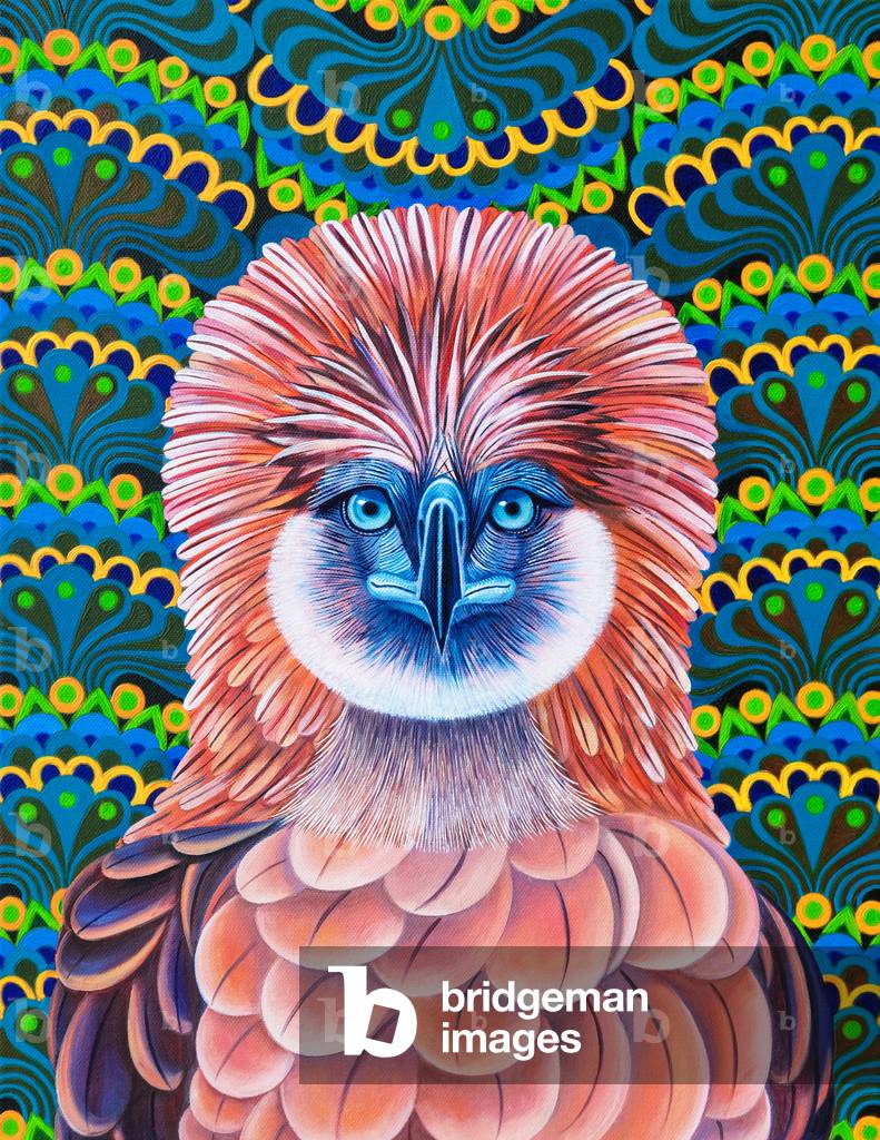 Immagine di Dipinto "Philippine Eagle" 2020 di Jane Tattersfield
