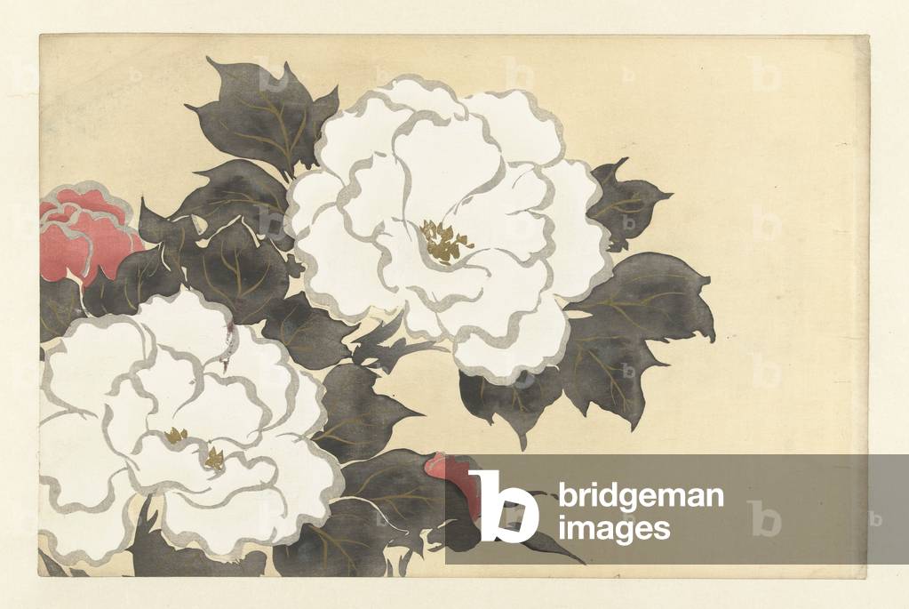 Pfingstrosen, 1909 (Holzblockdruck)