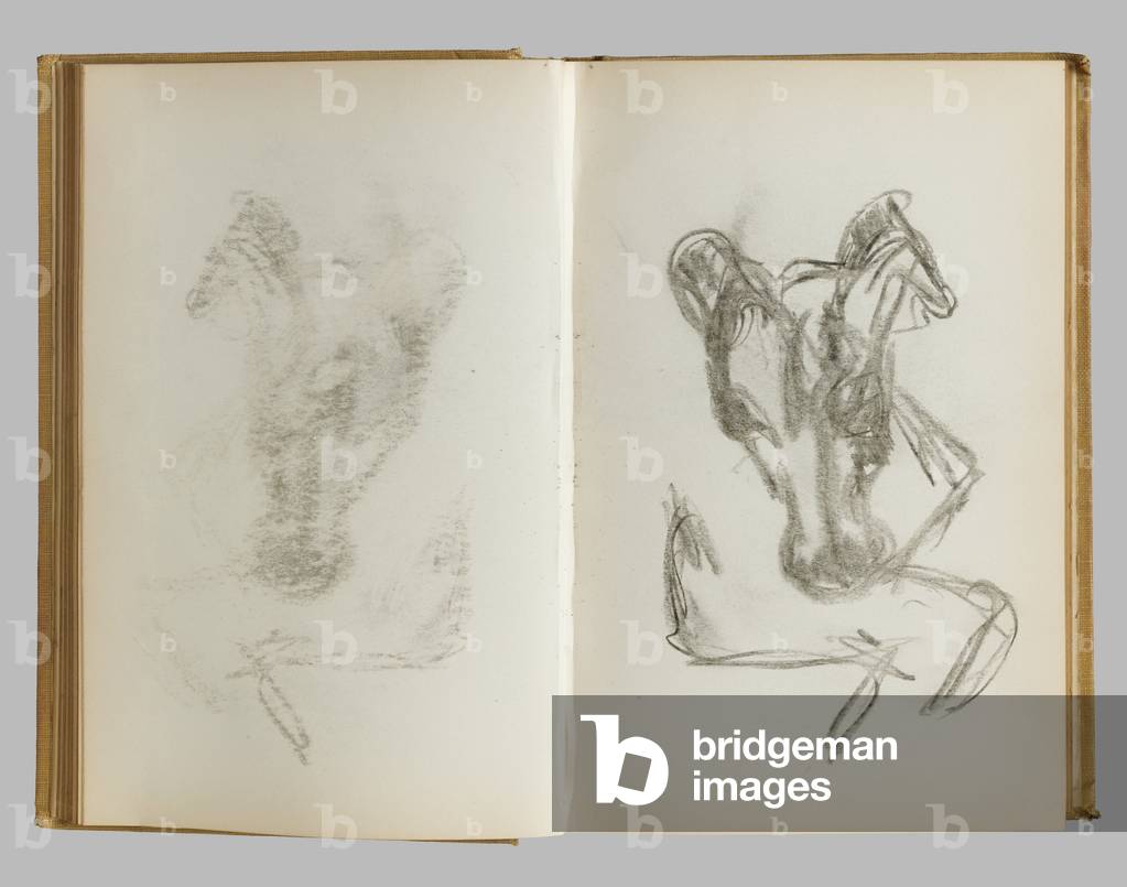 Page d'un carnet de croquis 2015 par Lucian Freud, b/w