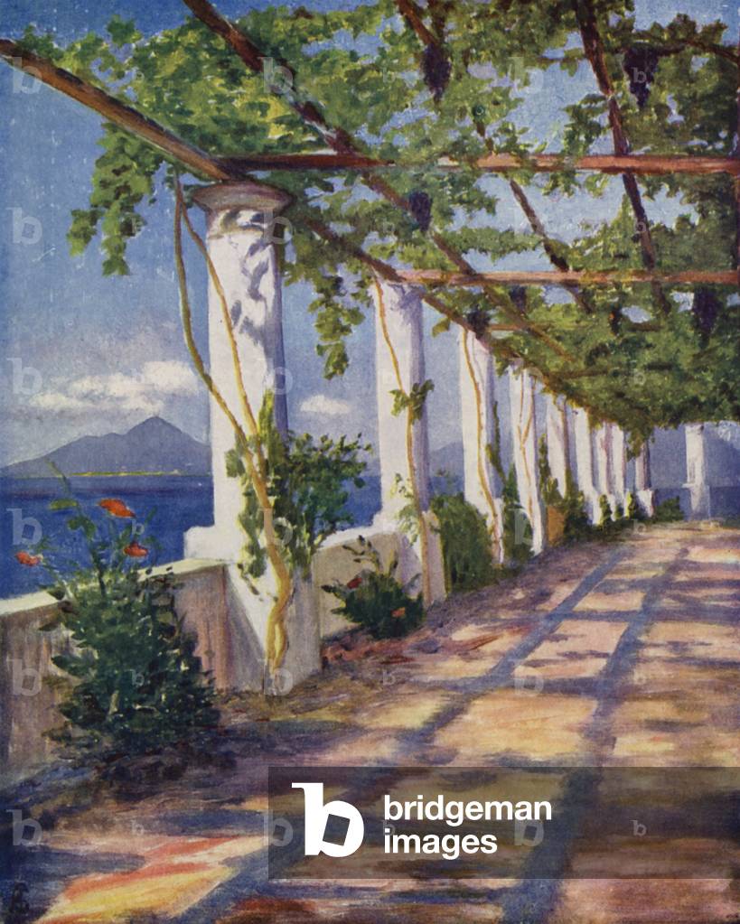 Pergola (colour litho)