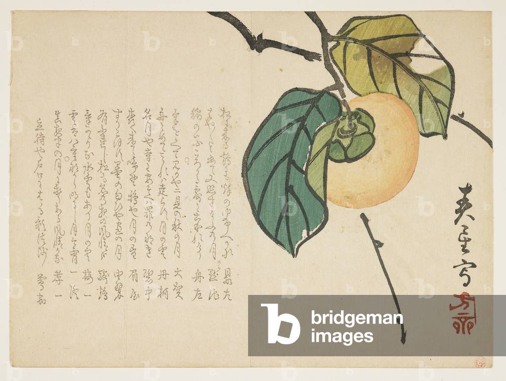 "Persimmon", c.1854-59 von Shunsei