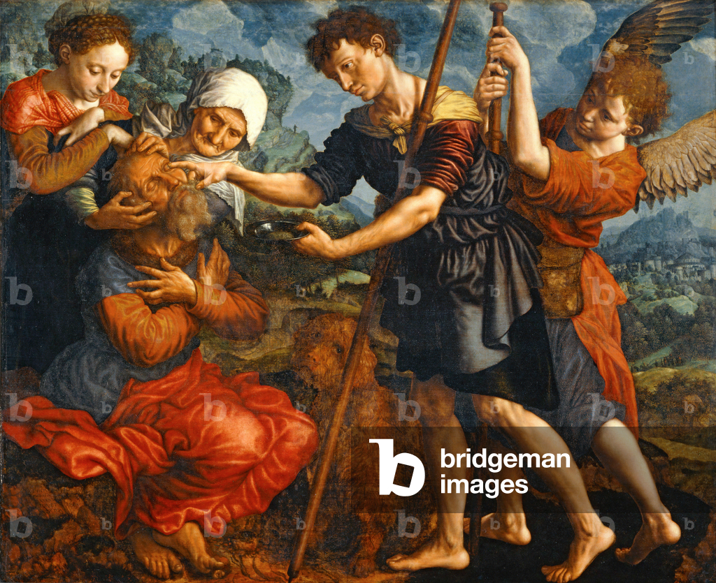 Immagine di Dipinto "Le jeune Tobie rende la vista a son pere ..." di Jan Sanders van Hemessen