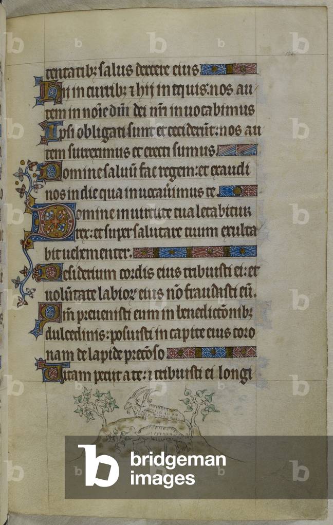 "Bas-de-page Szene von drei Steinböcke (oder wilde Ziegen) Browsing auf einem Berg"