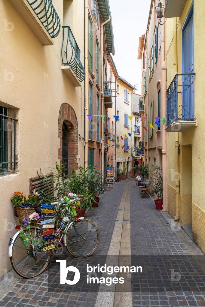 Straße in der mittelalterlichen Stadt Collioure in Südfrankreich Languedoc-Roussillon Cote Vermeille Midi Pyre