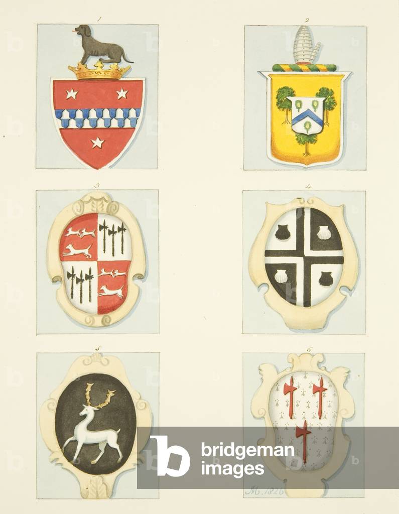 Stemmi a San Giacomo (matita e acquerello su carta)