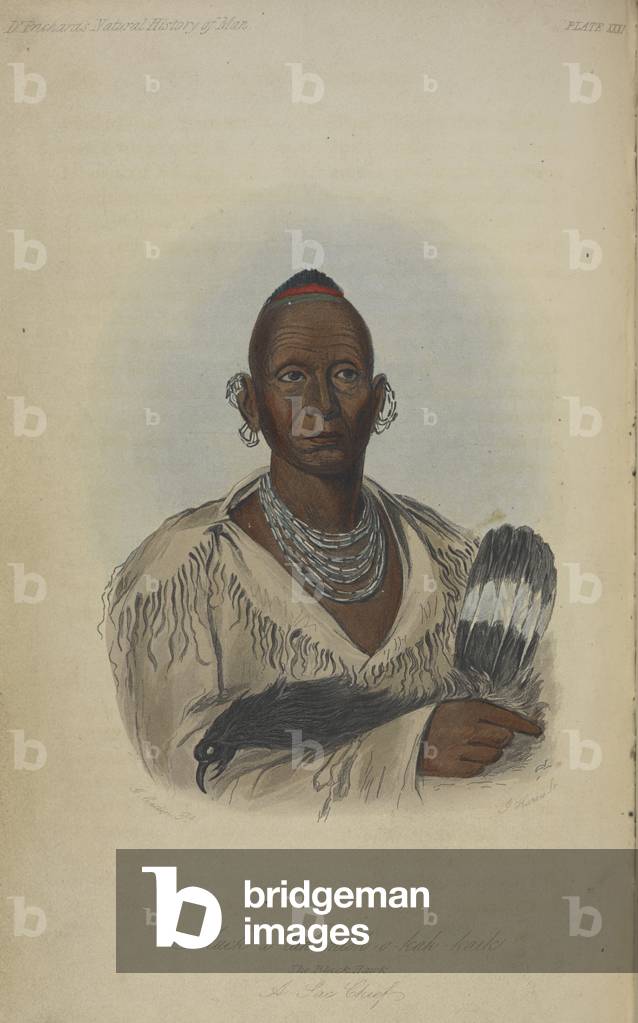Muk-a-tah-rnish-o-kali-kaik, der Schwarze Hawk. Ein Häuptling.