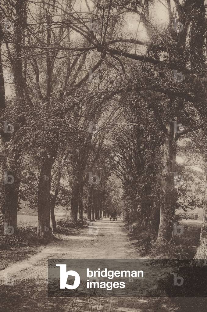 Bild von Fotografie "Woodbridge" 1901 von English photographer