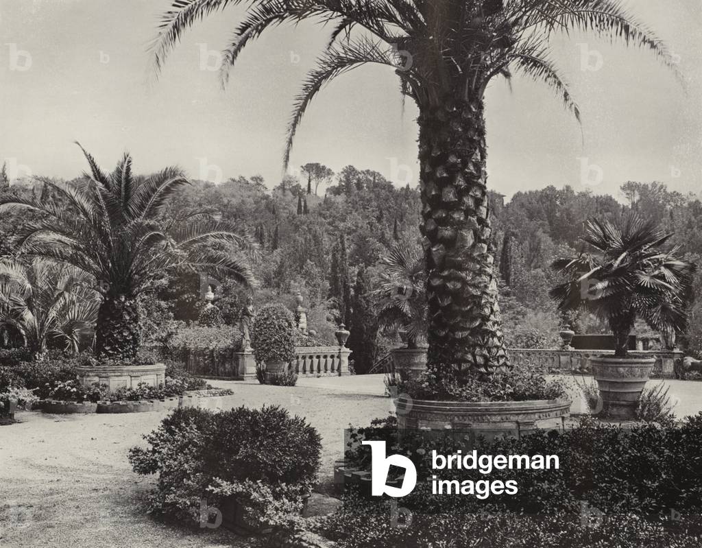 Immagine di Fotografia "Villa Palmieri" 1901 di Charles Latham