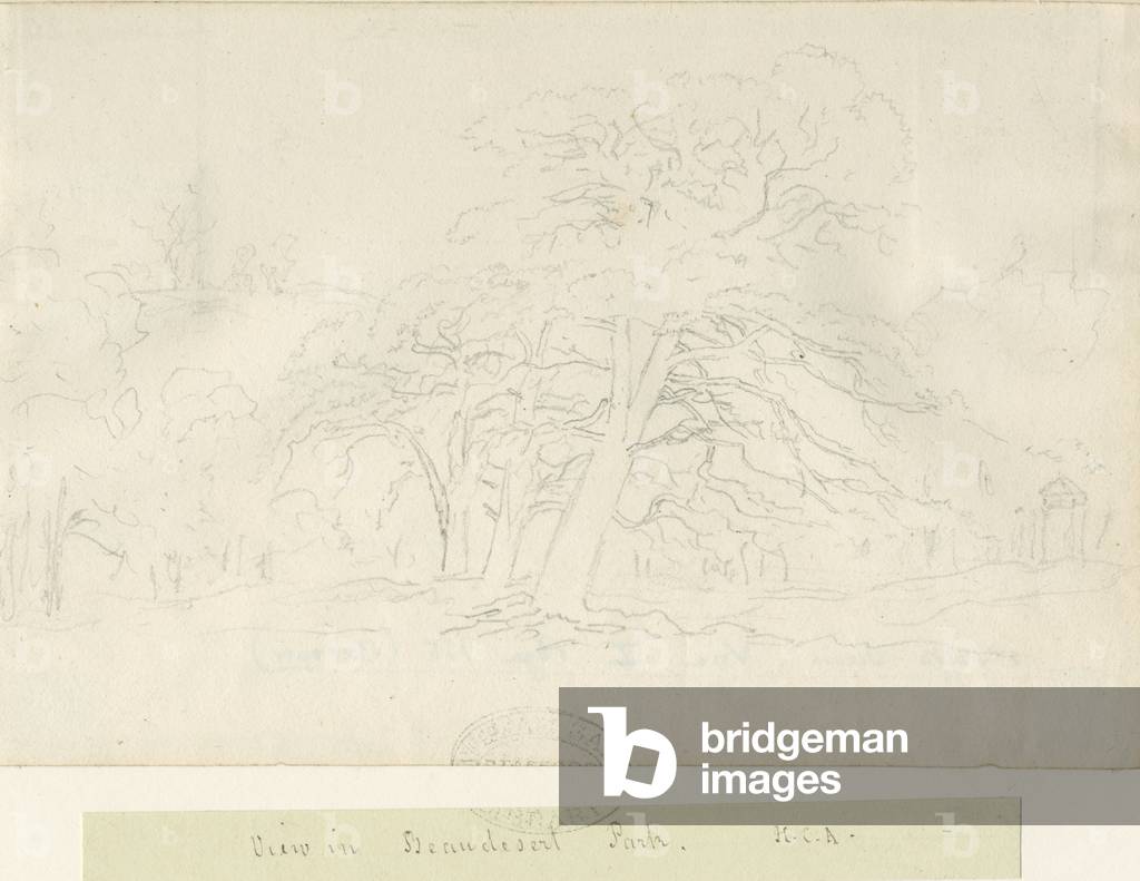 Image de Dessin représentant Beaudesert Park : dessin au crayon par Henry Curzon Allport