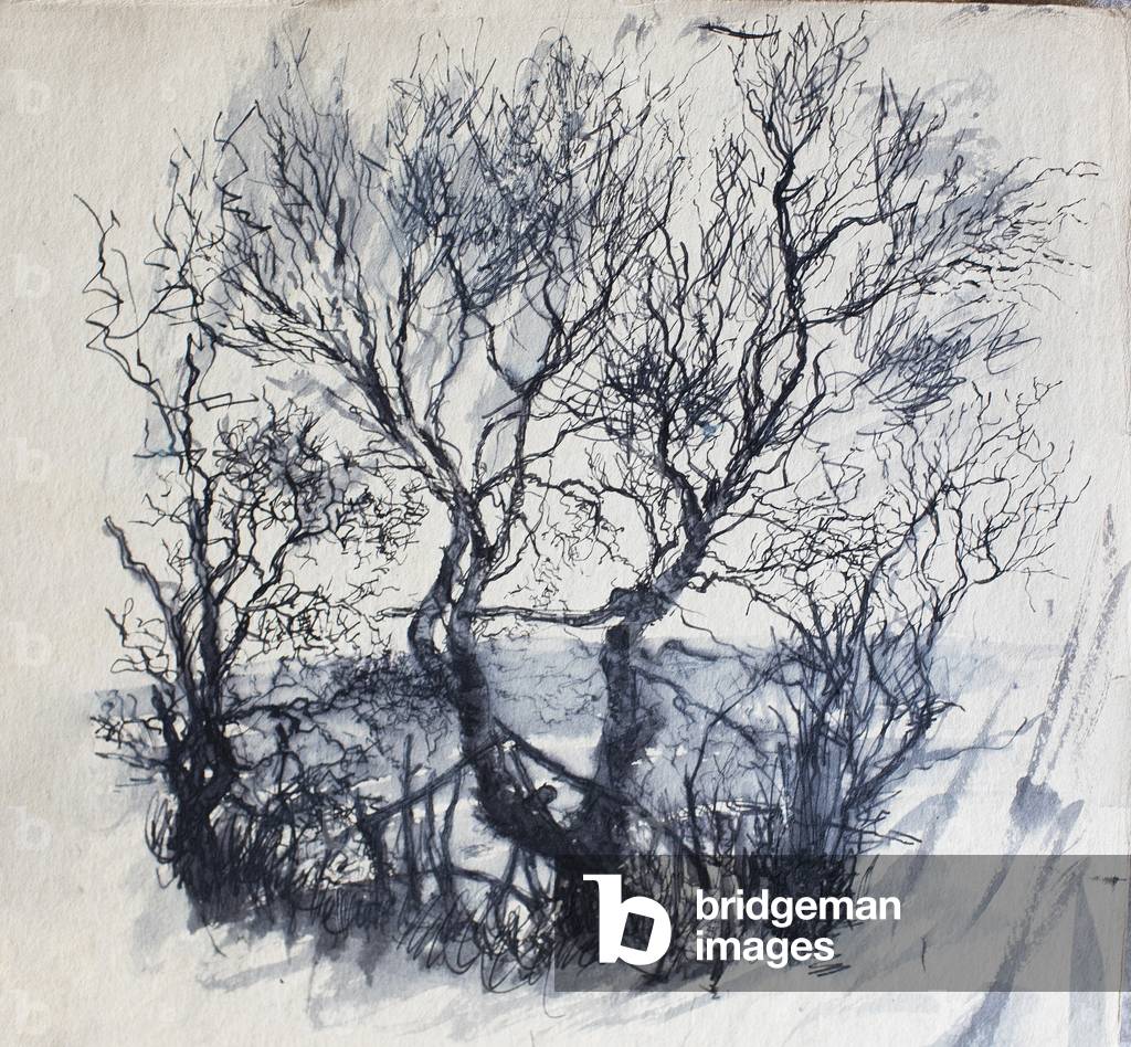 Copse, 1954-60 (pen)