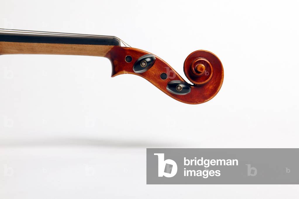 Violin scroll
