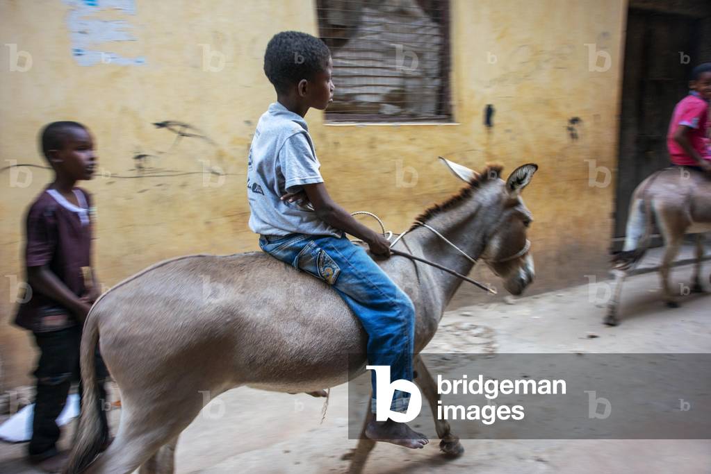 Image of Young boy riding donkeys on the main street of Lamu by ...