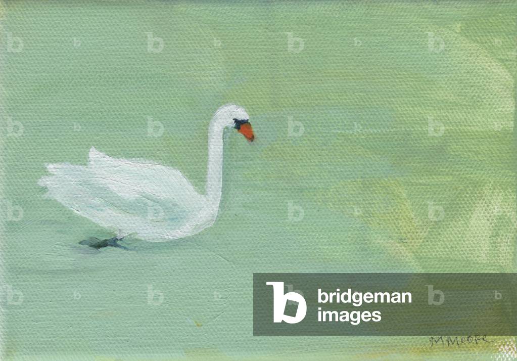 Immagine di Dipinto "Swan (olio)" di Megan Moore