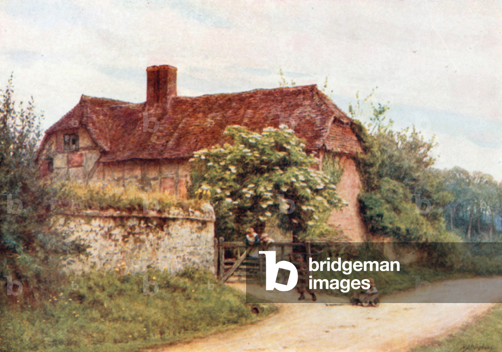 Bild von Druck "The Elder Bush" 1901 von Helen Allingham