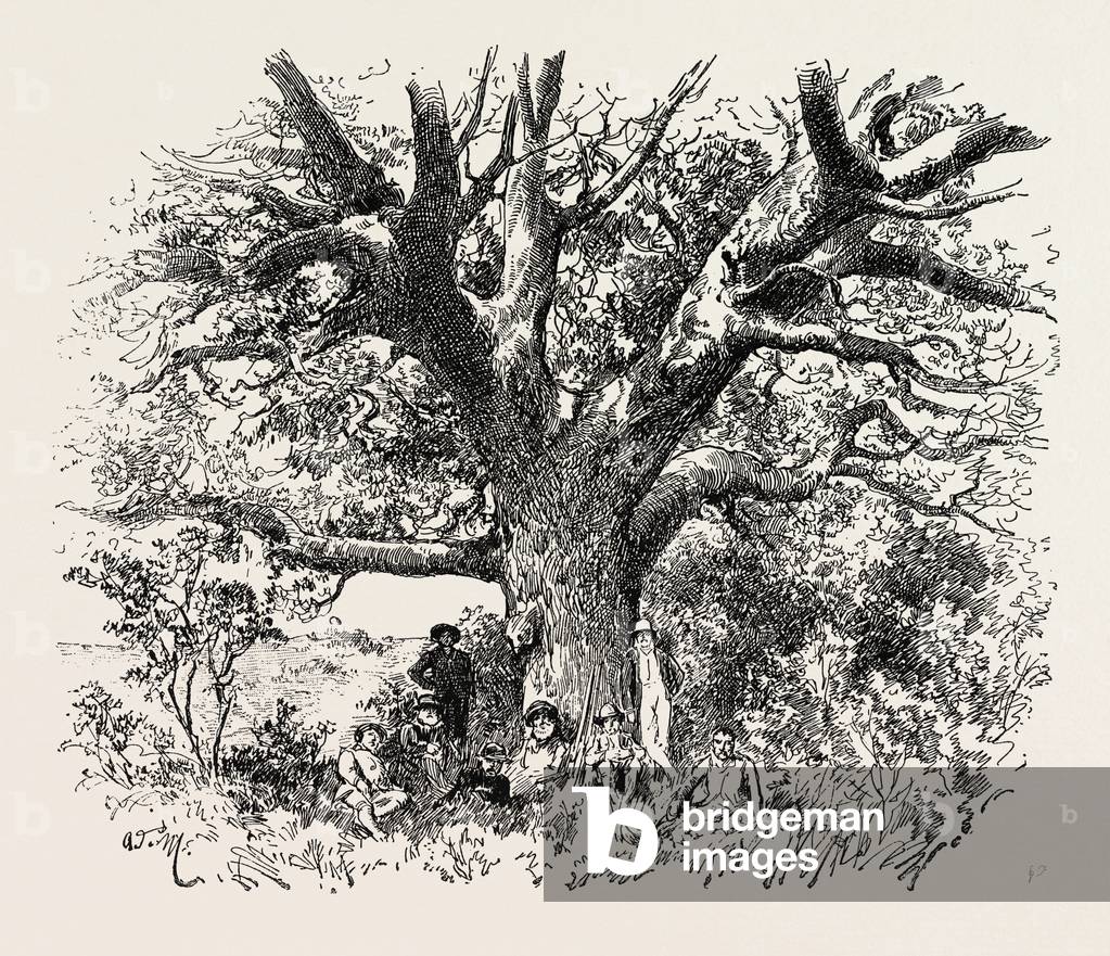 Der Krimkrieg: Bombardierung Sebastopols. General sir de lacy evans und Stab, 1854