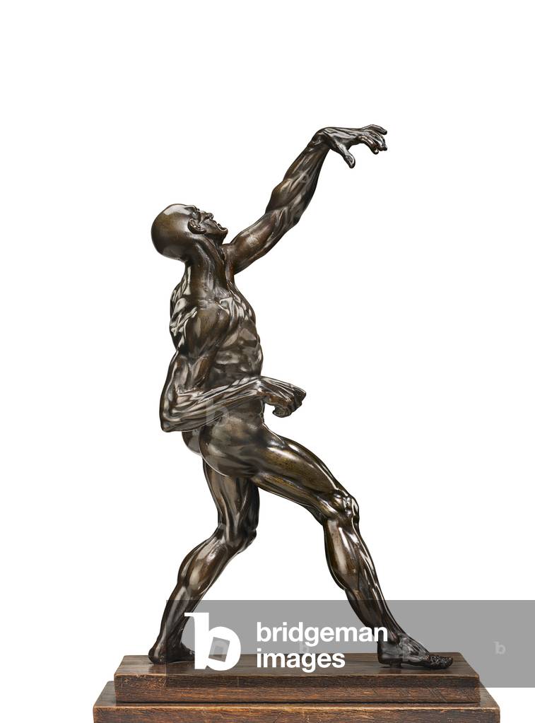"Un uomo ecorche" 1562 di Willem Danielsz. van Tetrode, b/w