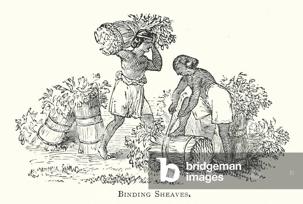 "Bindescheiben (Gravur)" 1900 von English School