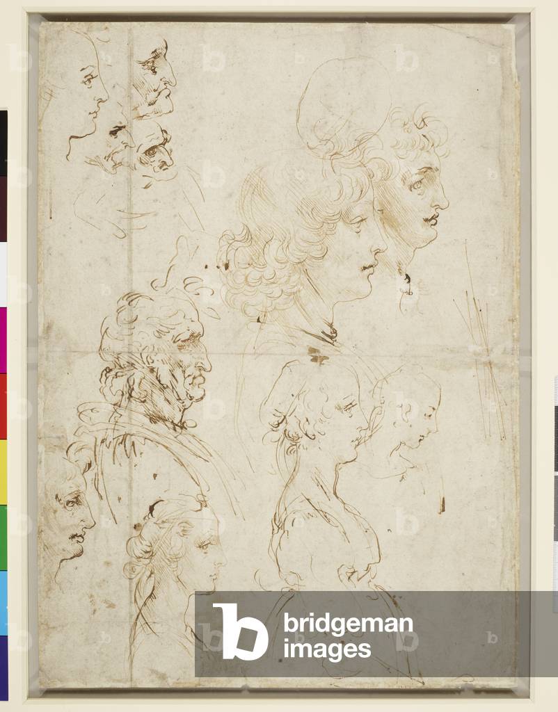 Immagine di Disegno "Teste di profilo c.1478-80 (penna e inchiostro)" 1478 di Leonardo da Vinci