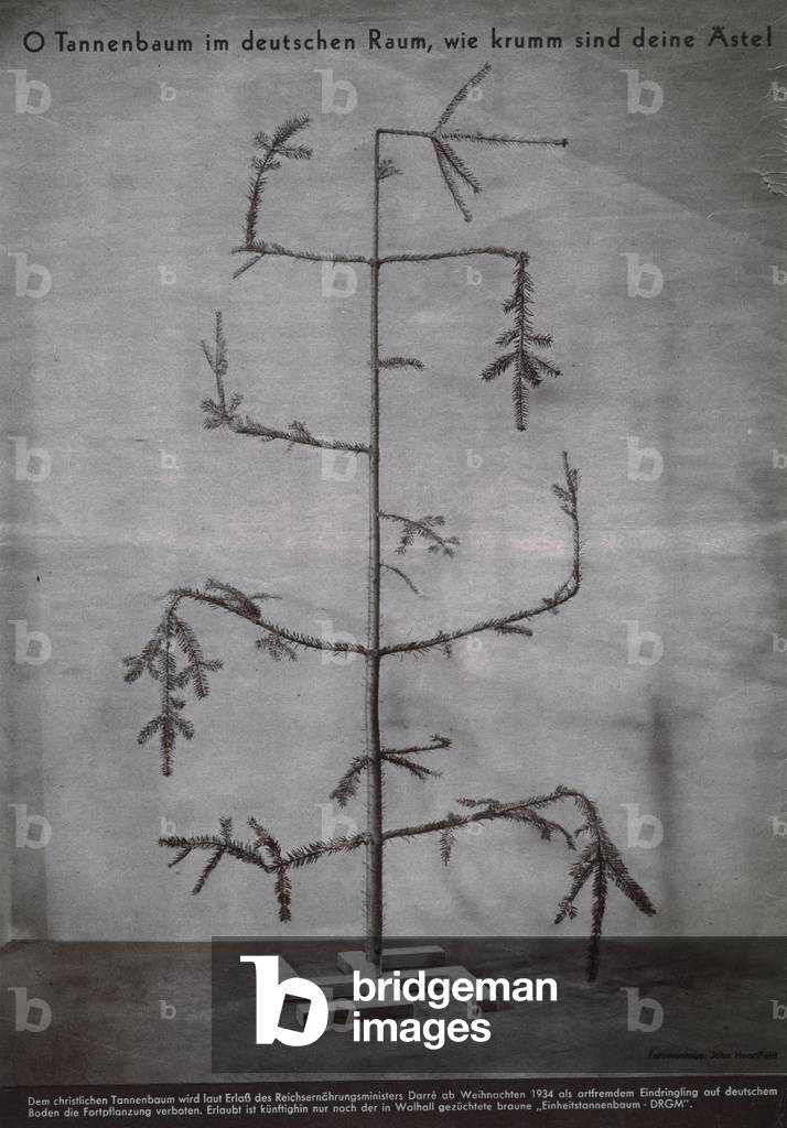 Image of O Christmas Tree in German Territory, how bent your branches