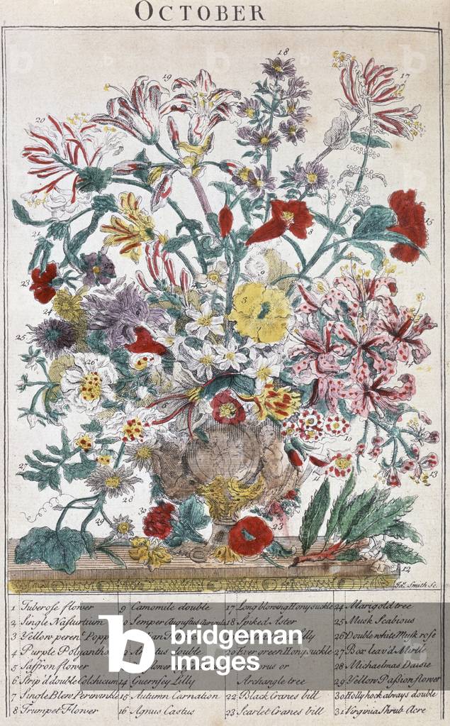 Bild von Gravur "Blumenstrauß - Oktober 19. Jahrhundert Künstler unbekannt Lithographie" 1801 von Unknown Arti