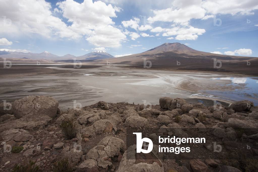 The Laguna Leon (Foto)