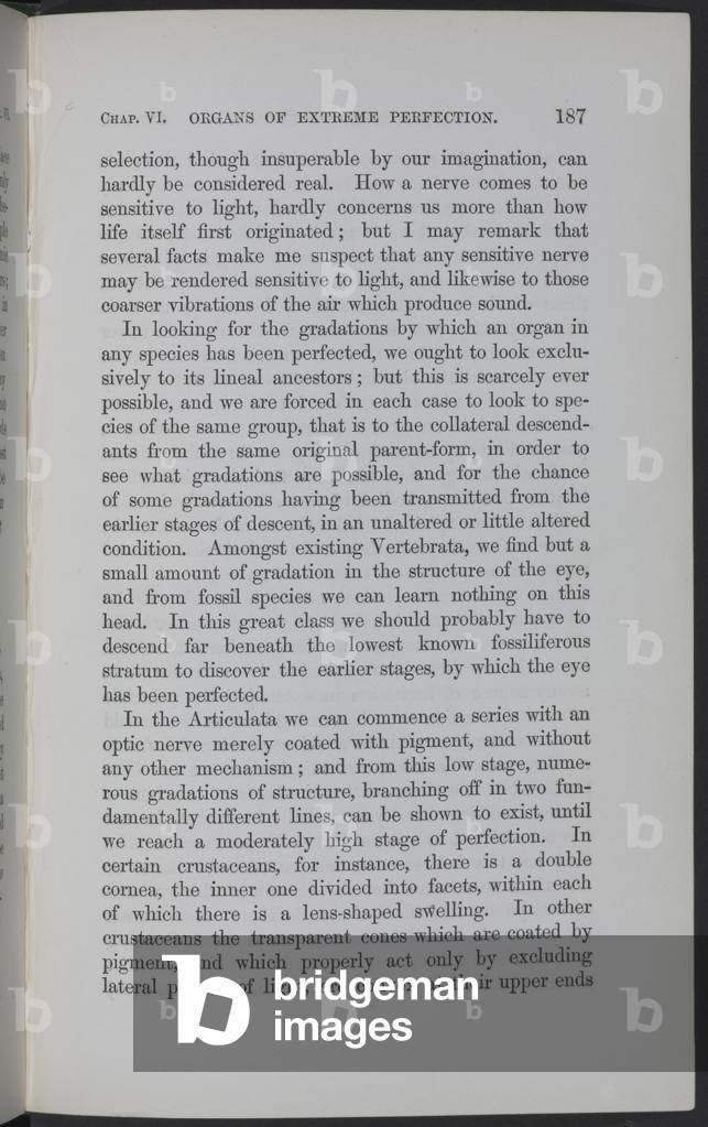 Pagina 187 di The Origin of Species