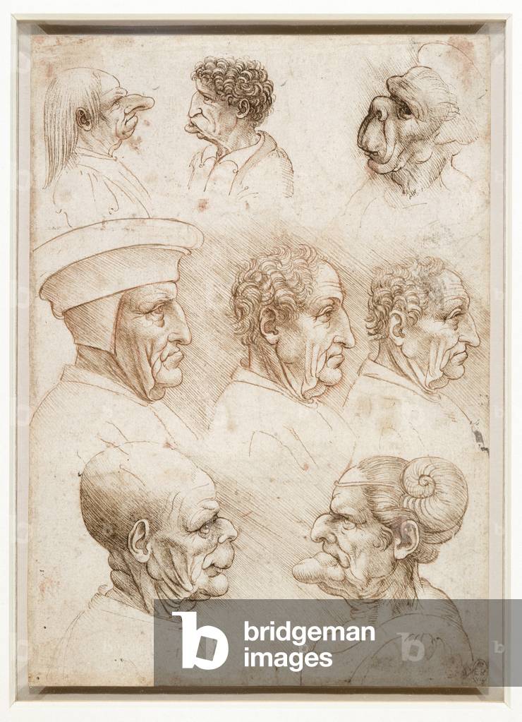 Immagine di Disegno "Cinque teste grottesche", c.1520 di Leonardo da Vinci, b/w