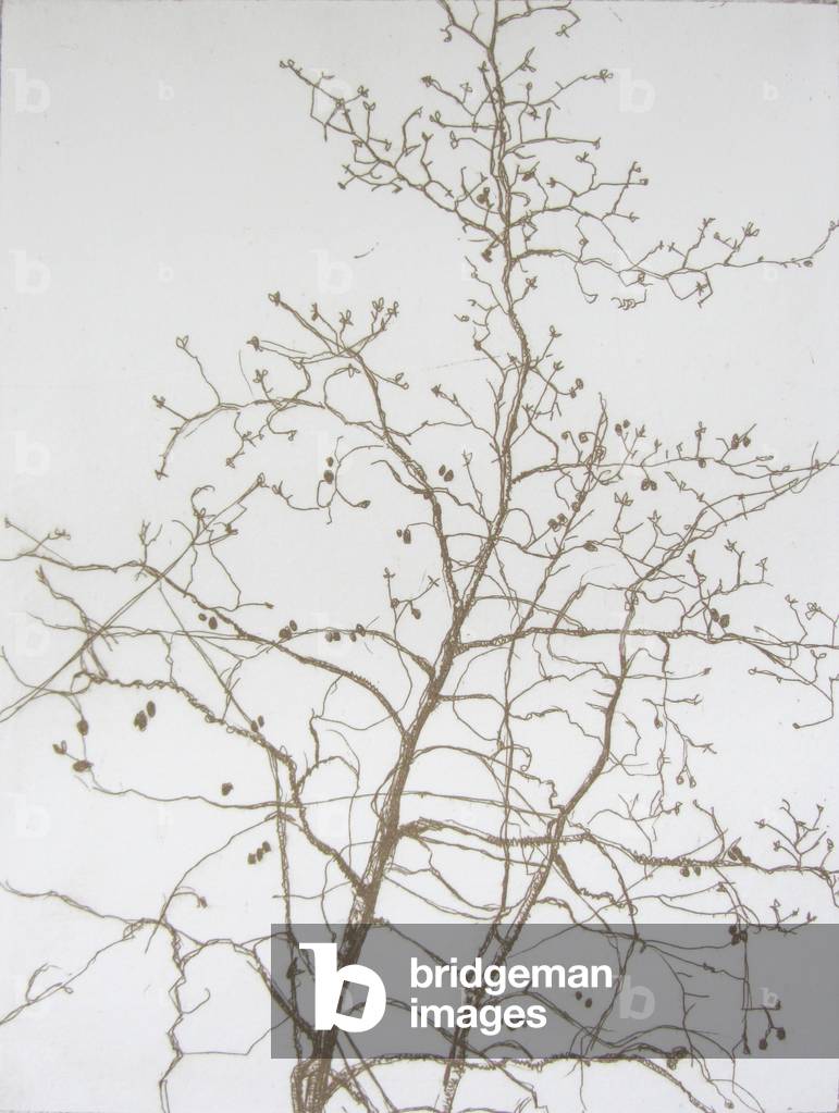 In Between, 2012 (gravure)