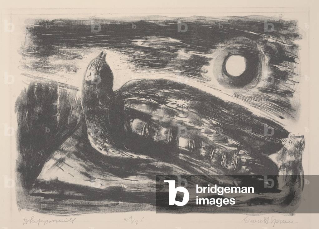 Whippoorwill (litho)