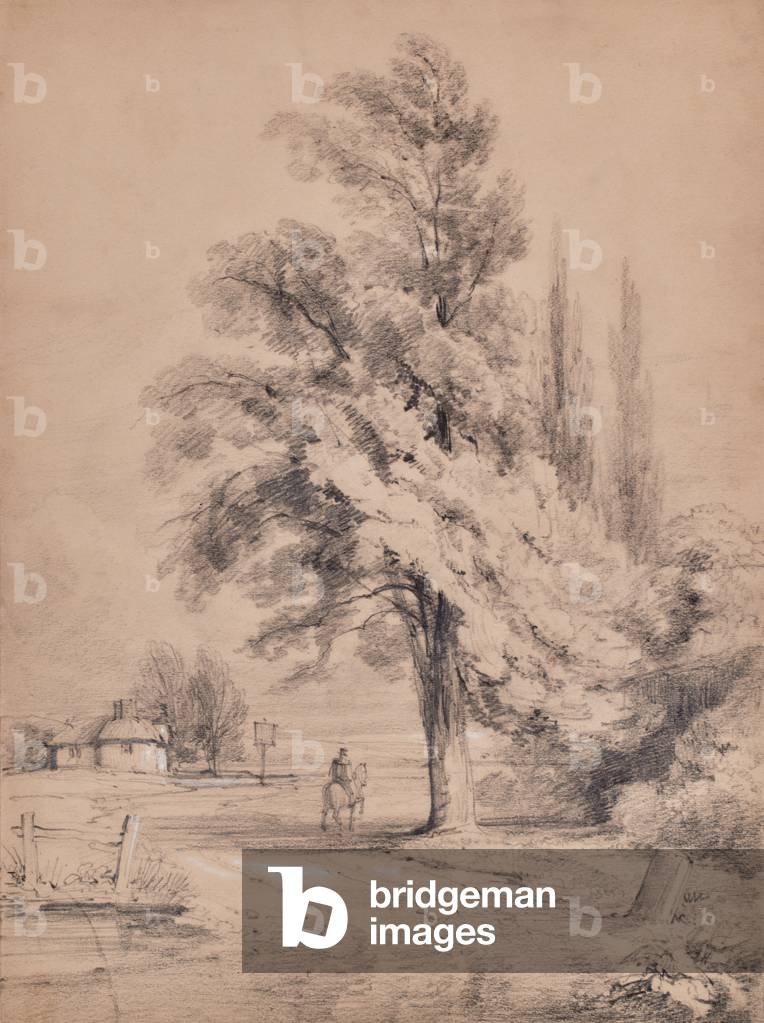 Image of Drawing depicting Landscape with tree and horse rider 1810 by Edward Pretty