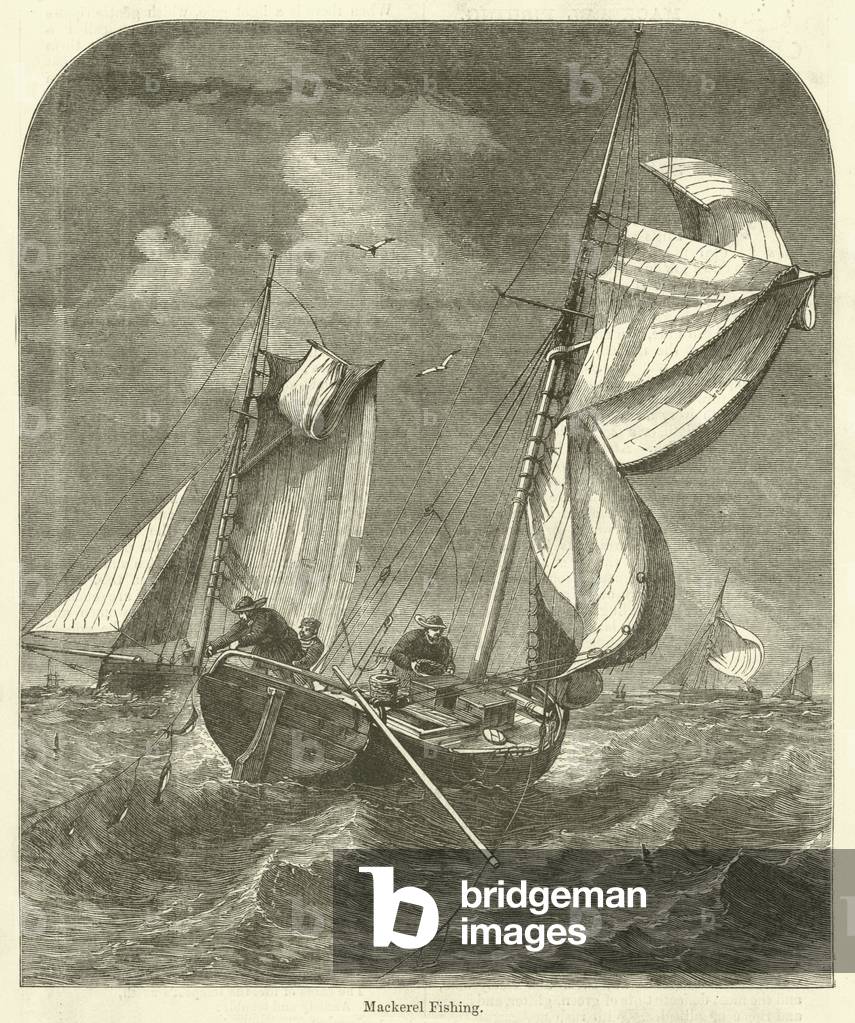 "Makrelen Angeln (Gravur)" von English School, b/w