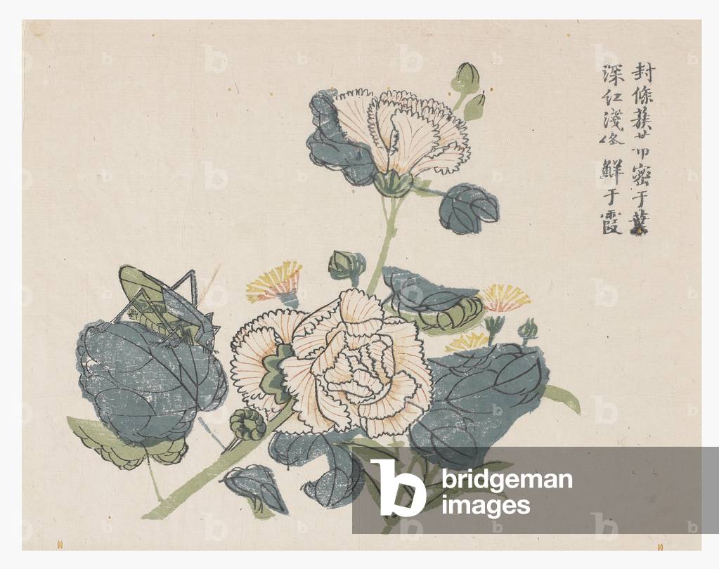 "Senfkorngarten" 1796 von Chinese School