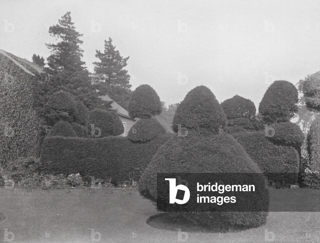 Image of Photography depicting Topiary at Fulford Hall 1901 by William James Day