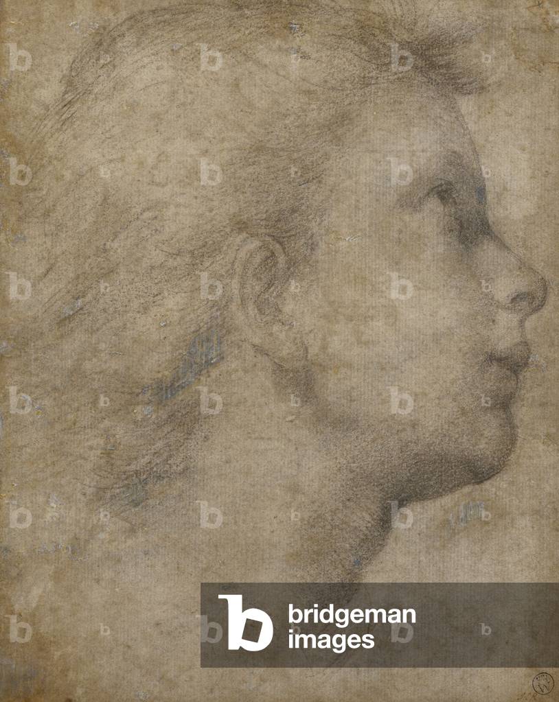 Immagine di Disegno "Testa di un Angelo in Profilo guardando verso l'alto a destra" di Fra Bartolomeo, b/w
