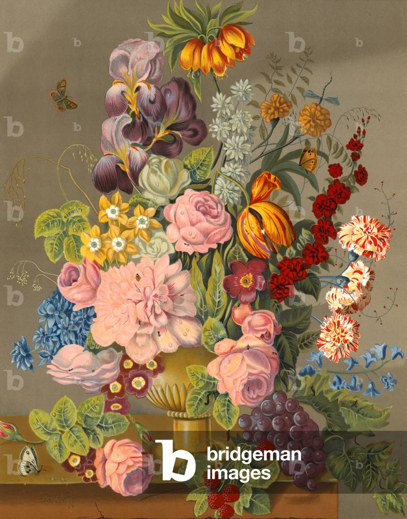 Floral display (chromolitho) by English Artist