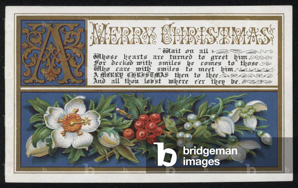"Weihnachtsblumen" von English School