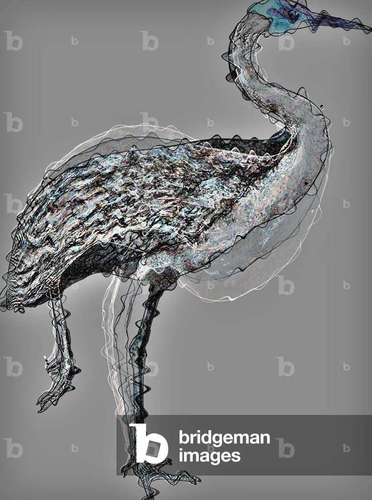 bird I 2020 par Alex Caminker