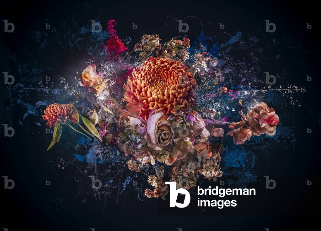 Image of Photography depicting Bouquet collage 2017 by Teis Albers