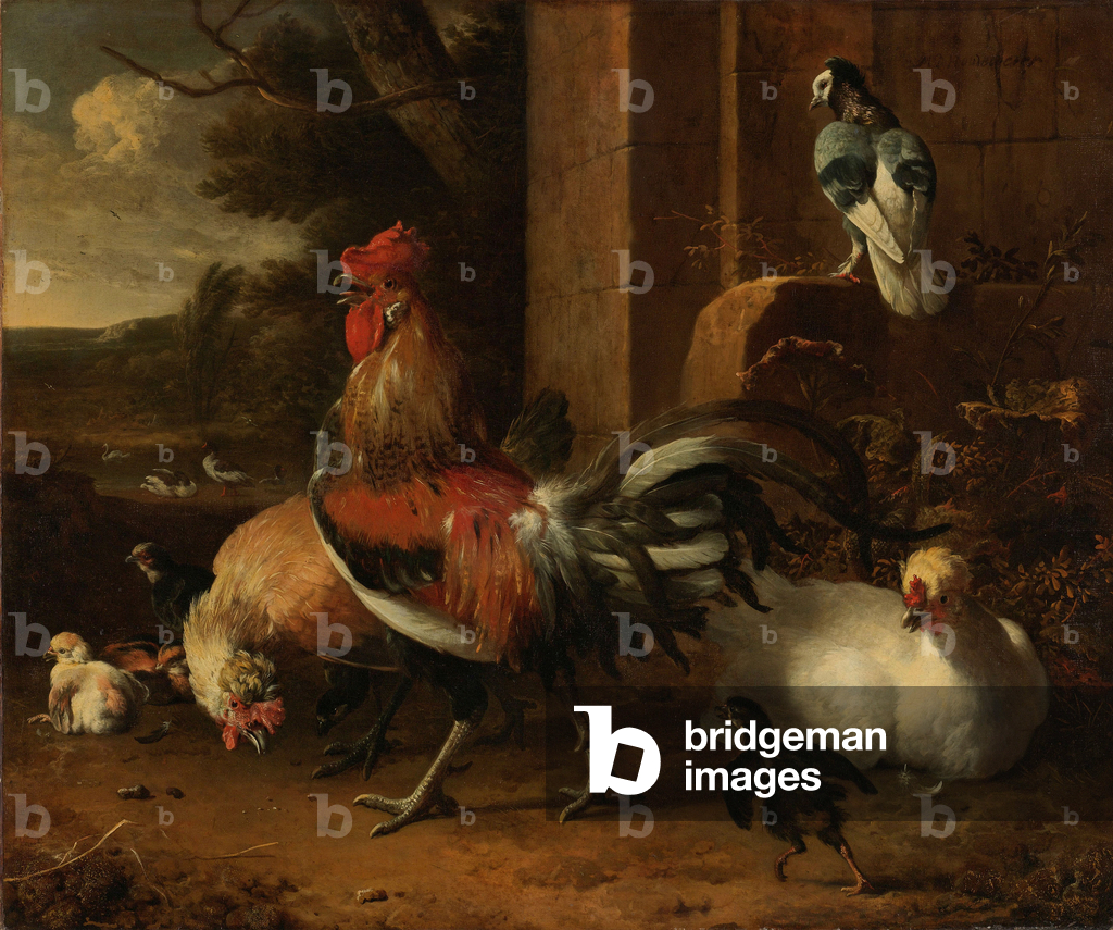 Un cortile di pollame, 1660-1665 circa (olio su tela)