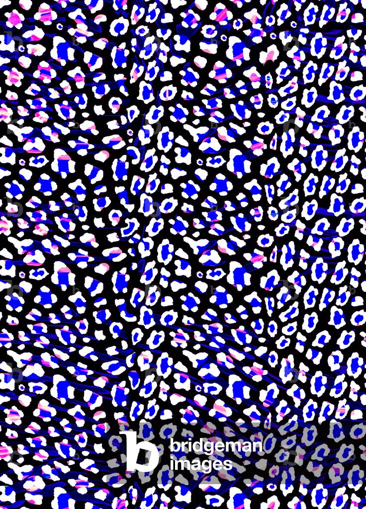 "Leopardenmuster 1 (Digitaldruck)" 2016 von Rupert Newman