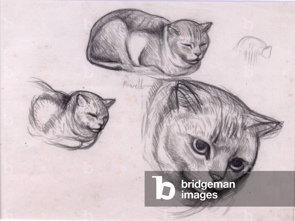 Bild von Zeichnung "Three Cat Studies (Bleistift auf Papier)" von John Aldridge